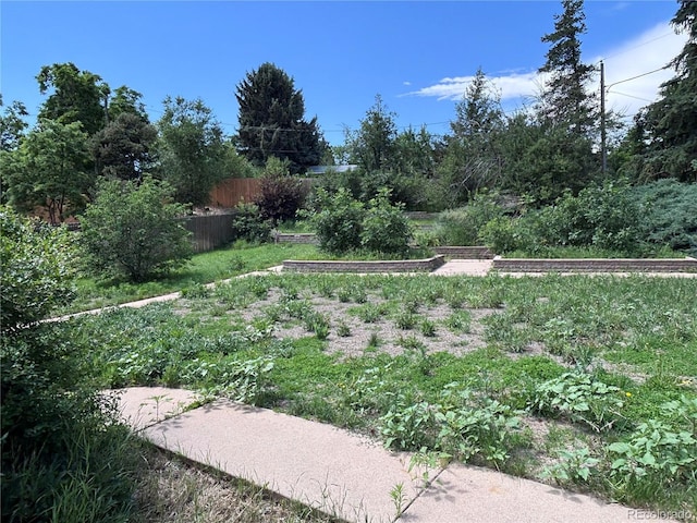 3910 E Orchard Rd, Centennial, CO 80121 - view of yard