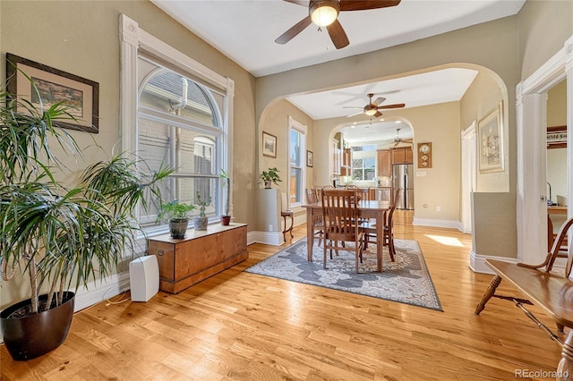 dining room featuring light hardwood / wood-style floors and ceiling fan