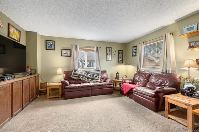 6385 Boscomb Pl, Colorado Springs, CO 80922 - photo 9