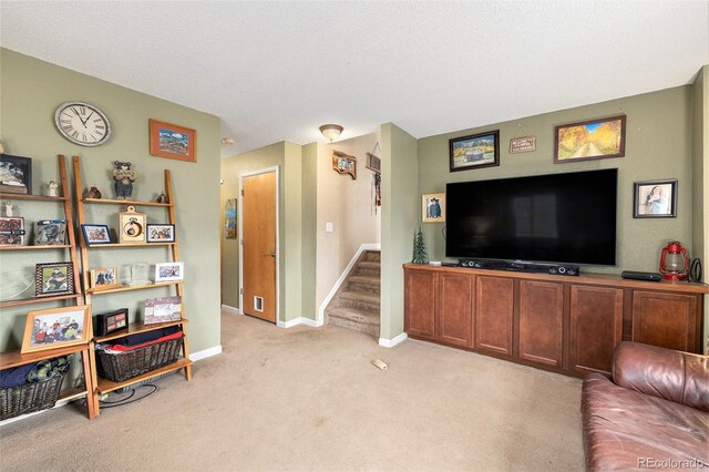 6385 Boscomb Pl, Colorado Springs, CO 80922 - photo 10