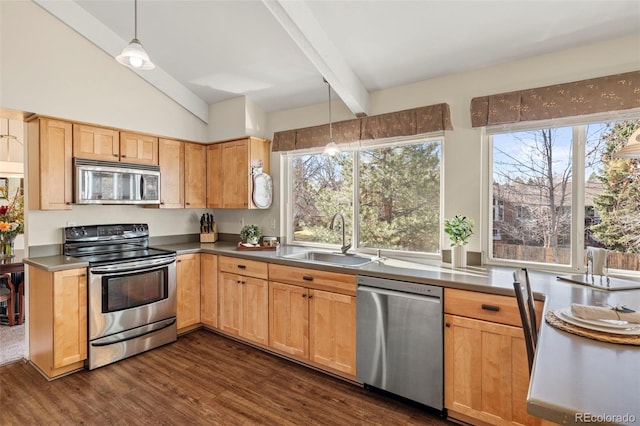 kitchen with a sink, stainless steel appliances, a healthy amount of sunlight, and dark wood finished floors