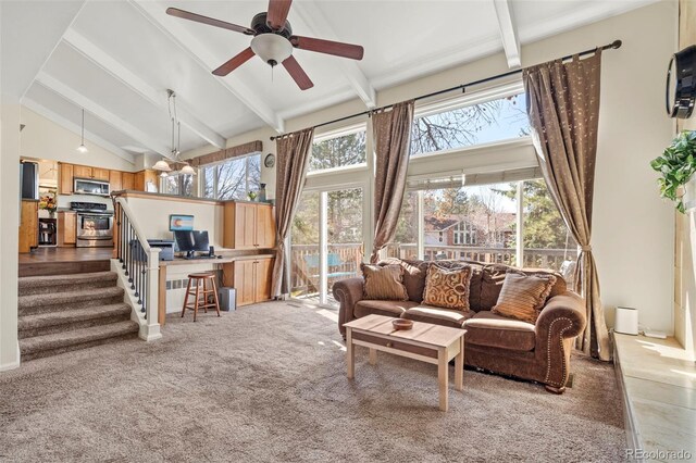 carpeted living area with a ceiling fan, beam ceiling, a healthy amount of sunlight, and high vaulted ceiling