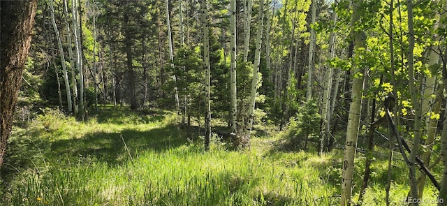 LOT6385 Jaquez Rd, San Luis, CO 81152 - photo 1