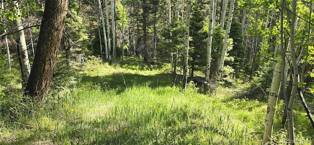LOT6385 Jaquez Rd, San Luis, CO 81152 - photo 3