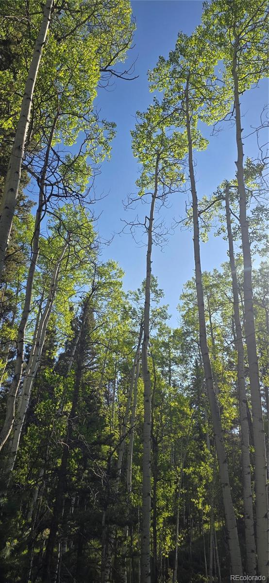 LOT6385 Jaquez Rd, San Luis, CO 81152 - photo 4
