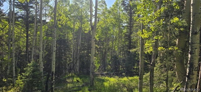 LOT6385 Jaquez Rd, San Luis, CO 81152 - photo 5