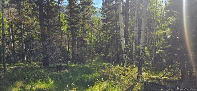 LOT6385 Jaquez Rd, San Luis, CO 81152 - photo 6