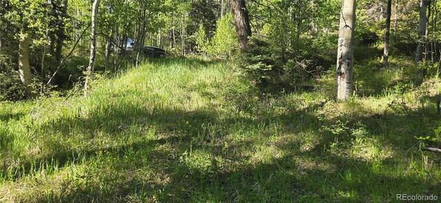 LOT6385 Jaquez Rd, San Luis, CO 81152 - photo 8
