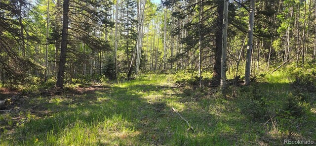 LOT6385 Jaquez Rd, San Luis, CO 81152 - photo 12
