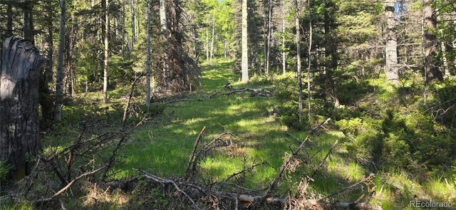 LOT6385 Jaquez Rd, San Luis, CO 81152 - photo 13