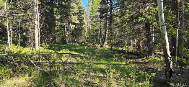 LOT6385 Jaquez Rd, San Luis, CO 81152 - photo 14