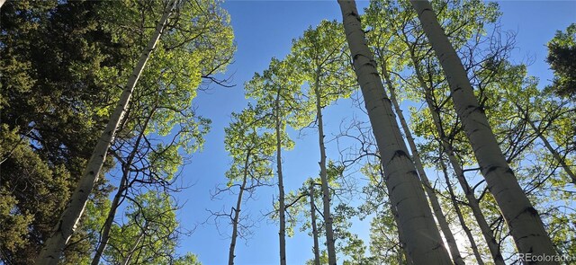 LOT6385 Jaquez Rd, San Luis, CO 81152 - photo 15
