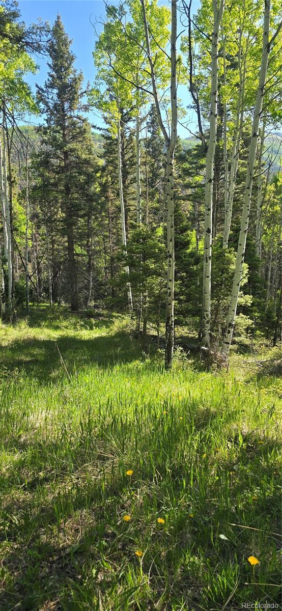 LOT6385 Jaquez Rd, San Luis, CO 81152 - photo 19