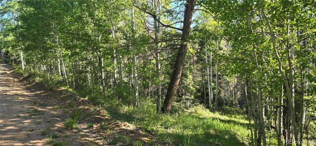 LOT6385 Jaquez Rd, San Luis, CO 81152 - photo 20