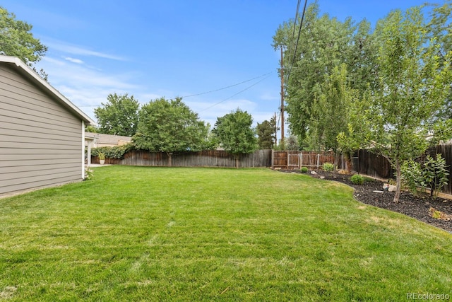 6160 S Bemis St, Littleton, CO 80120 - photo 46