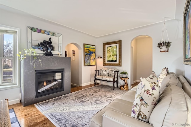 living room with hardwood / wood-style floors and a premium fireplace