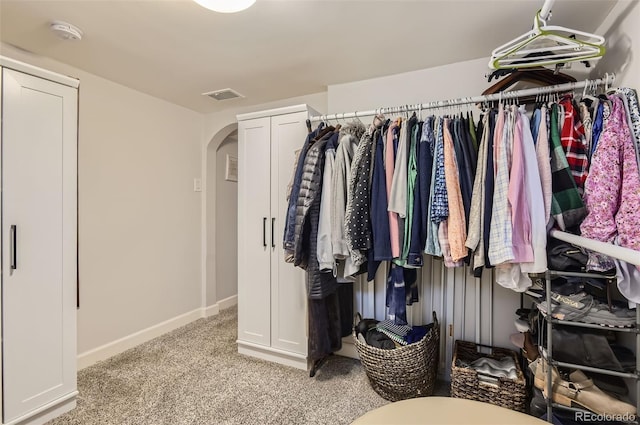 spacious closet featuring light colored carpet