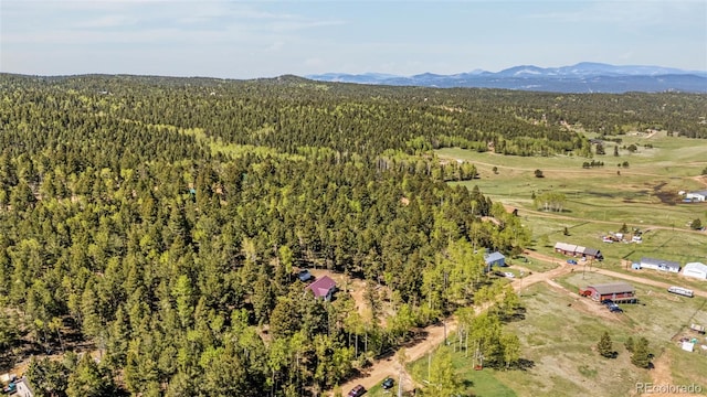 86 Will Stutley Dr, Divide, CO 80814 - view of property location with a forest and mountains