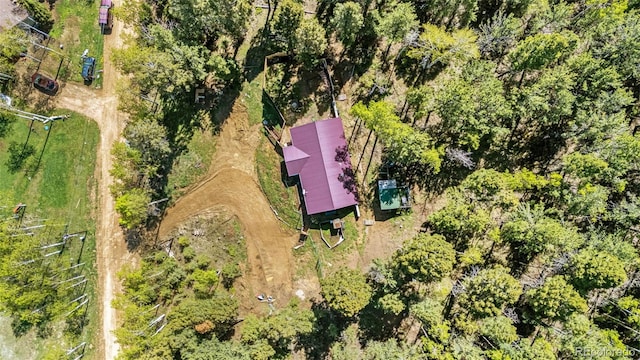 86 Will Stutley Dr, Divide, CO 80814 - aerial view of property and surrounding area with a tree filled landscape