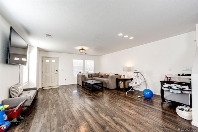 living room featuring dark wood-type flooring