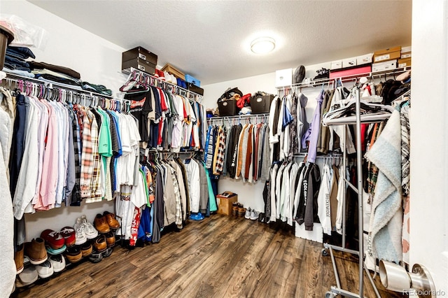 walk in closet with hardwood / wood-style flooring