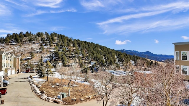 785 Martin Dr, Central City, CO 80427 - photo 27