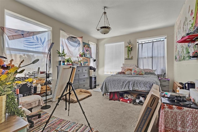 785 Martin Dr, Central City, CO 80427 - photo 14