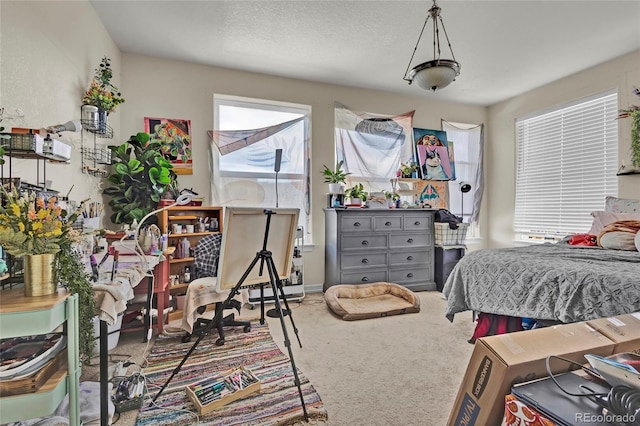 785 Martin Dr, Central City, CO 80427 - photo 19