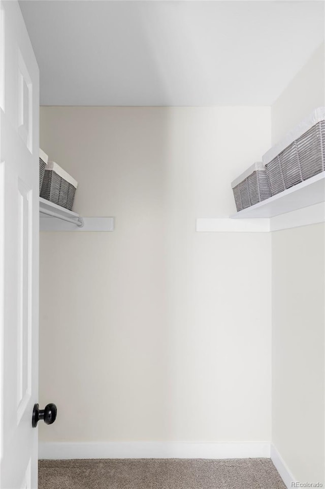 walk in closet featuring carpet flooring