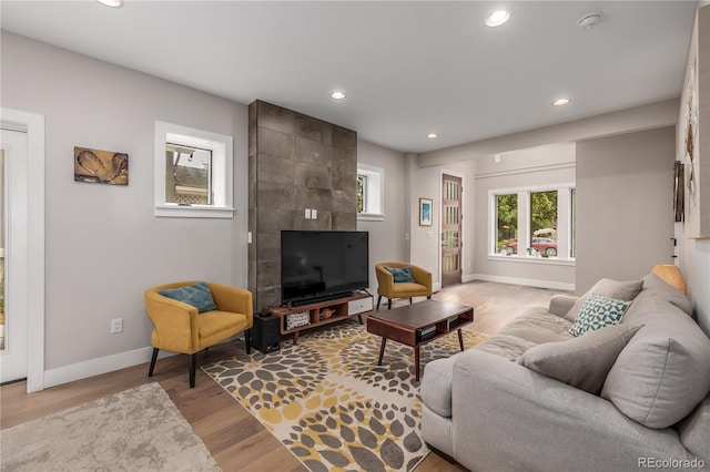 living room featuring wood-type flooring