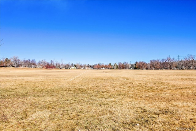 view of yard featuring a rural view