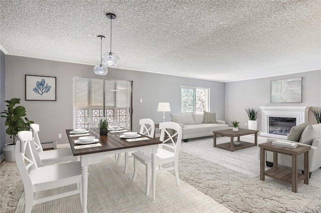 living room featuring a textured ceiling and a baseboard heating unit