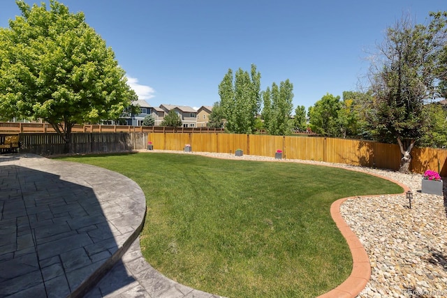 16102 Grebe Pl, Parker, CO 80134 - view of yard with a patio area