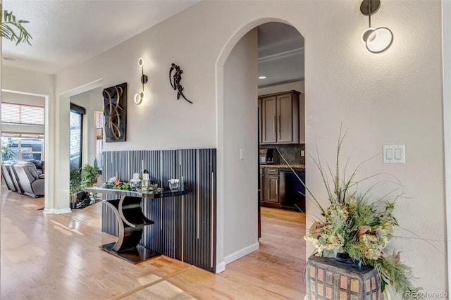 bar with black dishwasher, light hardwood / wood-style flooring, backsplash, and dark brown cabinetry