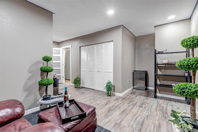 living room featuring light hardwood / wood-style flooring