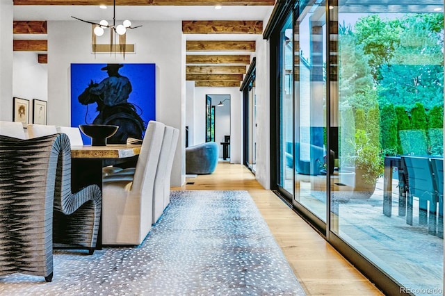 dining room with beam ceiling and light hardwood / wood-style floors