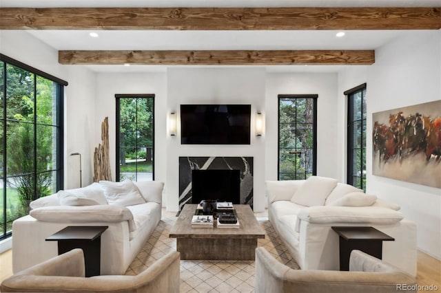 living room with a healthy amount of sunlight and a fireplace