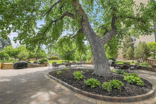 exterior space with a patio