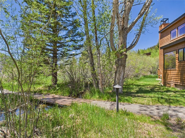 560 Tennis Club Rd Unit 1333, Dillon, CO 80435 - view of yard