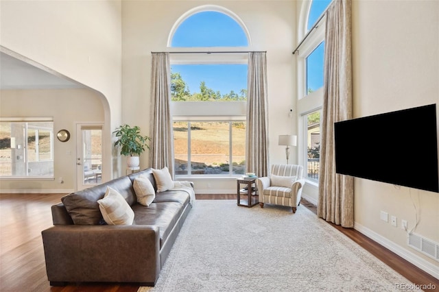 living room featuring hardwood / wood-style flooring and a high ceiling