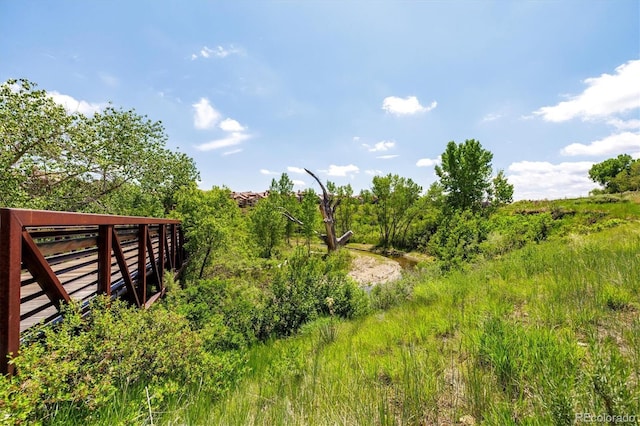 2364 Weatherstone Cir, Highlands Ranch, CO 80126 - photo 46