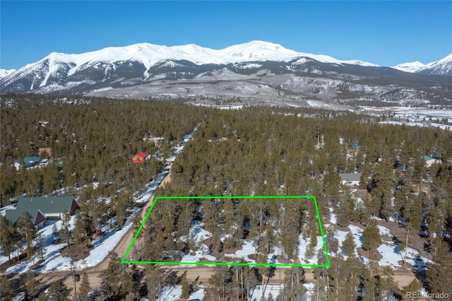 475 Cedar Dr, Twin Lakes CO, 81251 land for sale