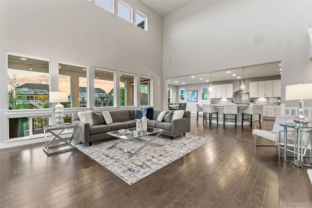 living room featuring a high ceiling and dark hardwood / wood-style floors