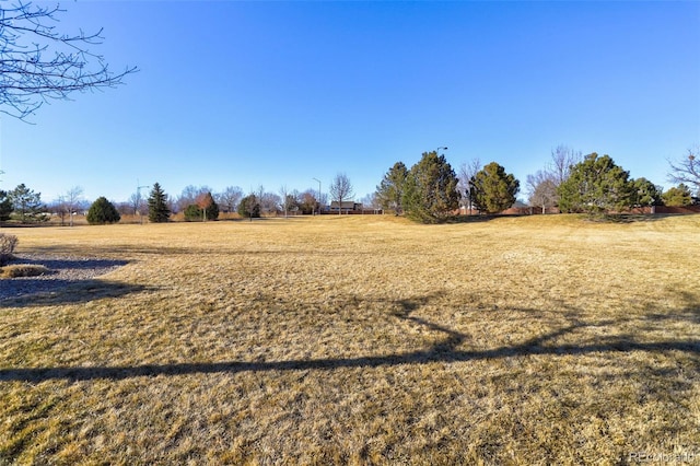 view of yard featuring a rural view