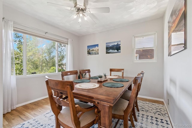 3154 N Columbine St, Denver, CO 80205 - dining area with light wood finished floors and a ceiling fan