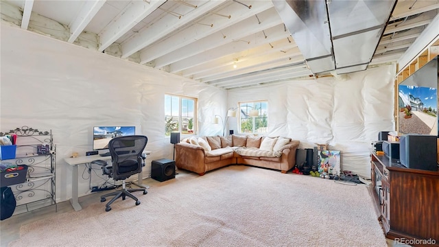 55 Morgan Cir, Erie, CO 80516 - office featuring carpet flooring