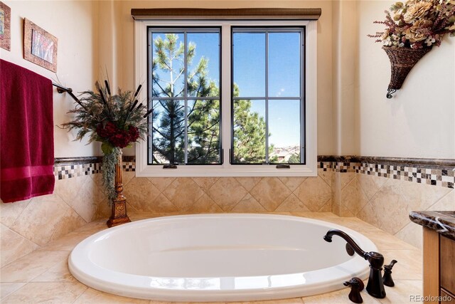 8002 Galileo Way, Littleton, CO 80125 - full bathroom with a garden tub