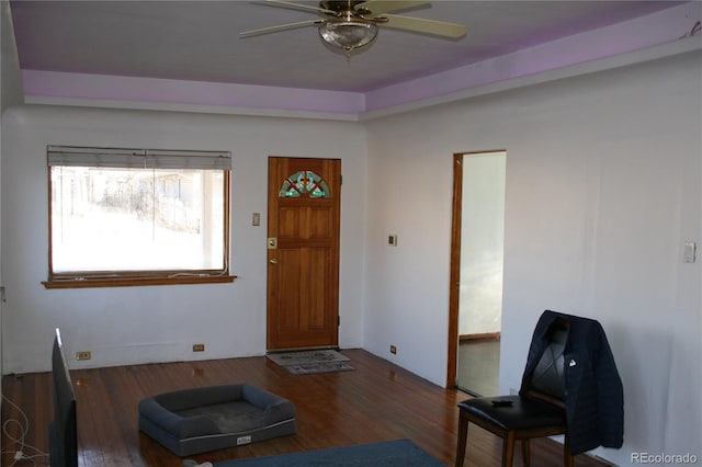 foyer entrance featuring a ceiling fan and wood finished floors