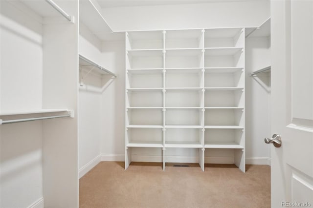 walk in closet featuring carpet floors