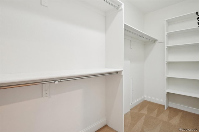 spacious closet with light colored carpet